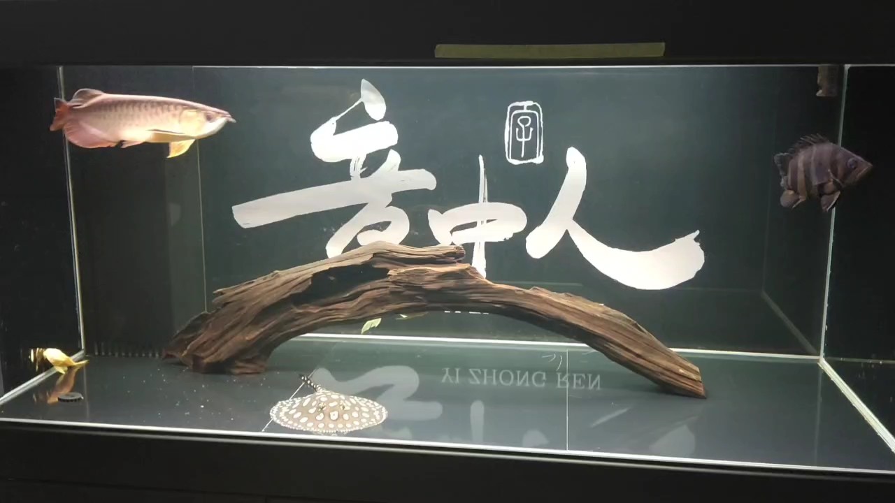 打卡打卡，靜待變化～