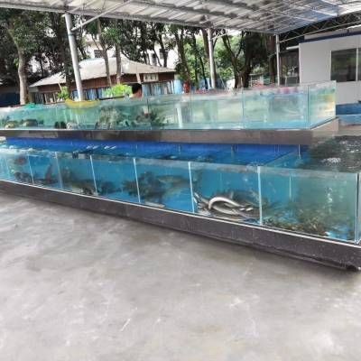 常平魚缸專賣店在哪里啊多少錢：東莞常平海鮮魚缸專賣店價格有幾個信息可供參考 常平魚缸專賣店在哪里啊多少錢：東莞常平海鮮魚缸專賣店價格有幾個信息可供參考 魚缸百科 第1張