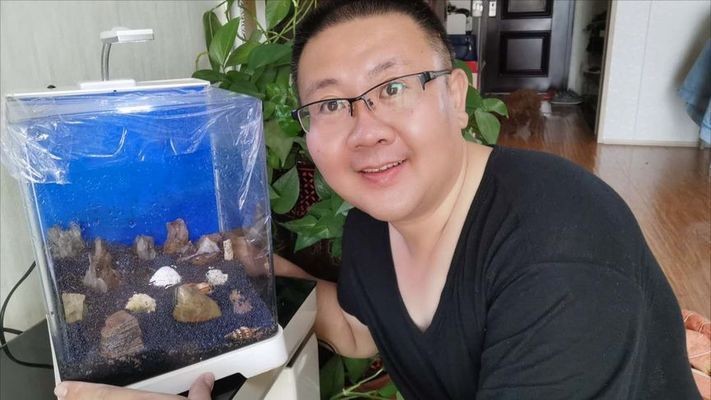 大魚缸改造成水草缸好不好呢：改造大魚缸成為水草缸不僅能提升觀賞價(jià)值還能提升觀賞價(jià)值