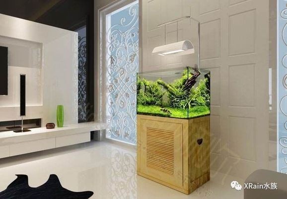 大魚缸改造成水草缸好不好呢：改造大魚缸成為水草缸不僅能提升觀賞價(jià)值還能提升觀賞價(jià)值