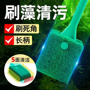 擦魚缸專用工具：如何選擇魚缸清潔工具