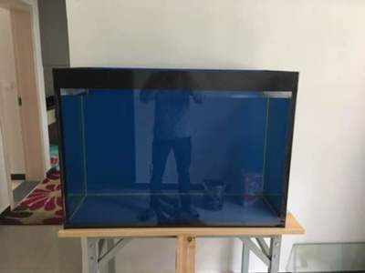 日照觀賞魚基地有哪些品種魚（日照觀賞魚基地有哪些品種魚類）