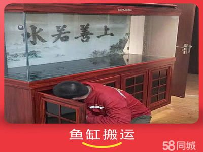 搬家公司搬魚缸收費：搬家公司搬魚缸收費細節(jié)并進行細節(jié)并進行比較必要的