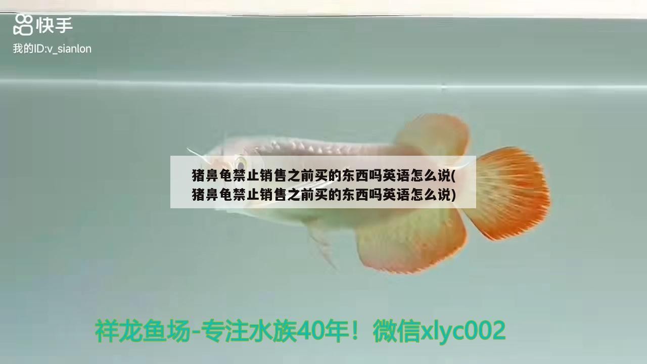 豬鼻龜禁止銷(xiāo)售之前買(mǎi)的東西嗎英語(yǔ)怎么說(shuō)(豬鼻龜禁止銷(xiāo)售之前買(mǎi)的東西嗎英語(yǔ)怎么說(shuō)) 豬鼻龜禁止銷(xiāo)售之前買(mǎi)的東西嗎英語(yǔ)怎么說(shuō)(豬鼻龜禁止銷(xiāo)售之前買(mǎi)的東西嗎英語(yǔ)怎么說(shuō)) 豬鼻龜百科