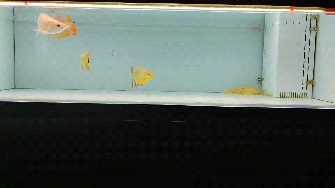 溫潤歲月，執(zhí)著善良