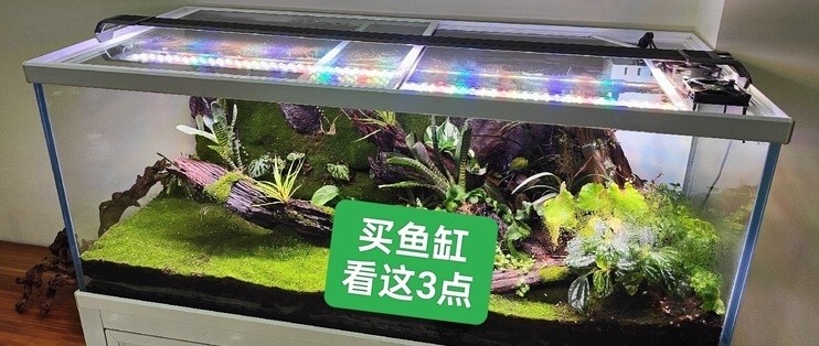 齊齊哈爾觀賞魚養殖基地電話號碼（齊齊哈爾觀賞魚養殖基地電話號碼查詢）