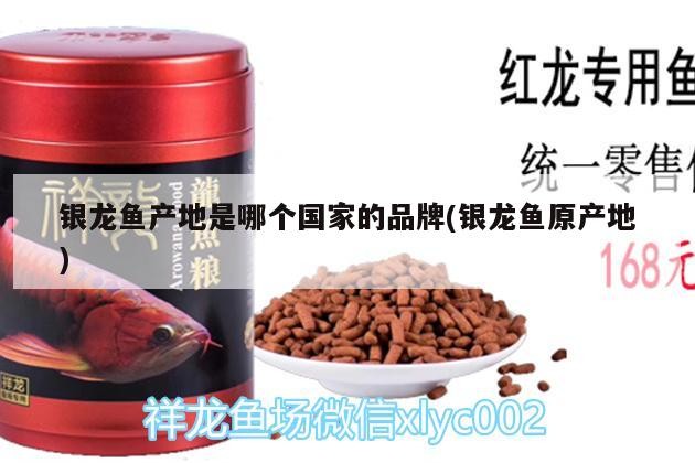 銀龍魚產地是哪個國家的品牌(銀龍魚原產地)