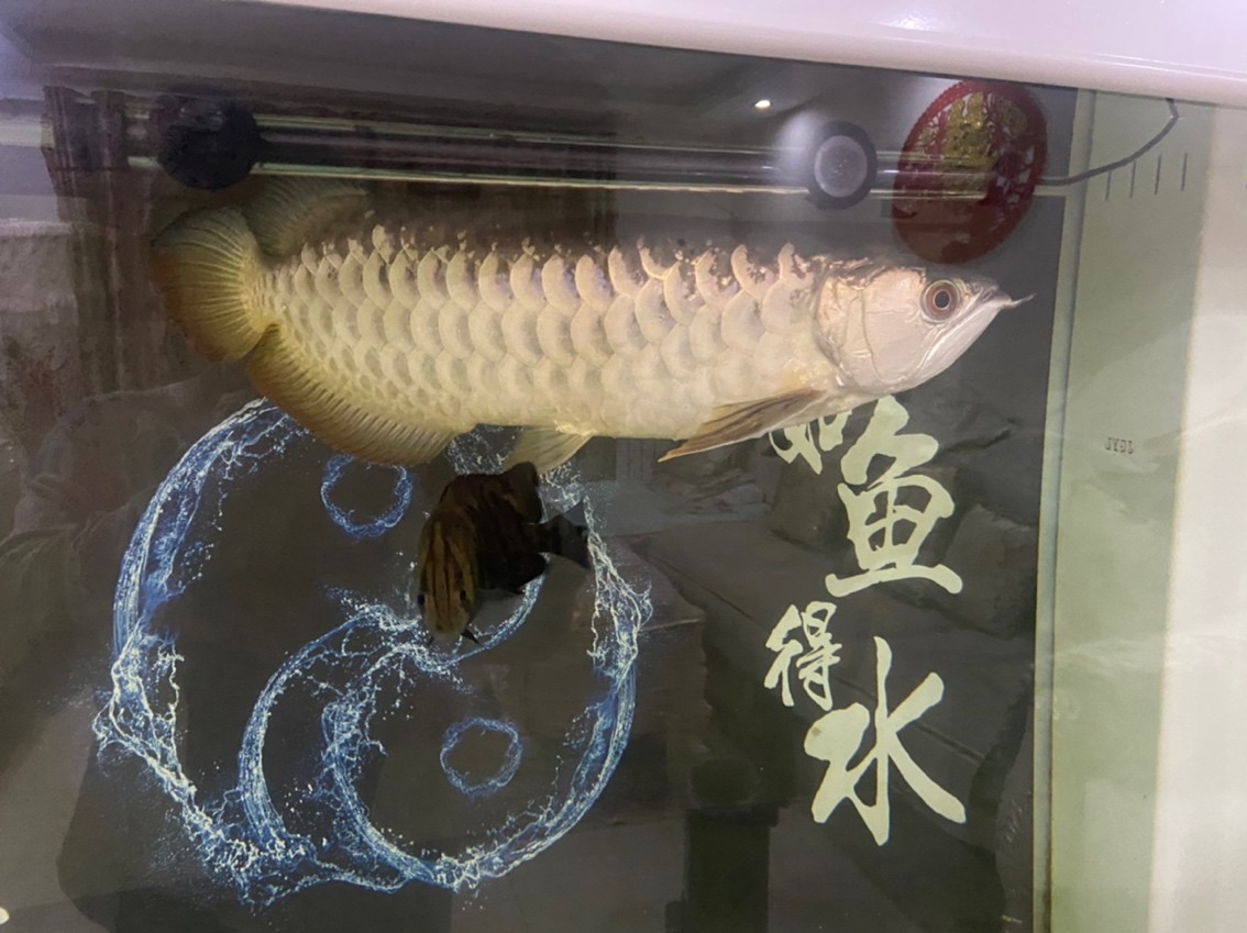 我家大寶貝