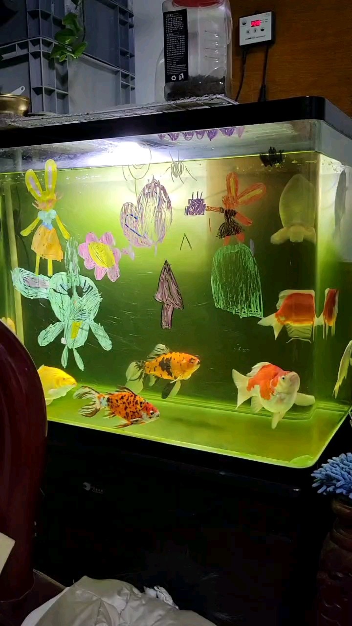破缸養(yǎng)破魚哈哈