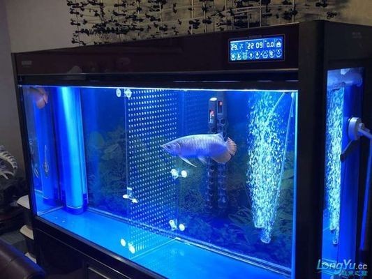 福鼎市魚樂花卉水族館（福鼎市魚樂花卉水族館地址）