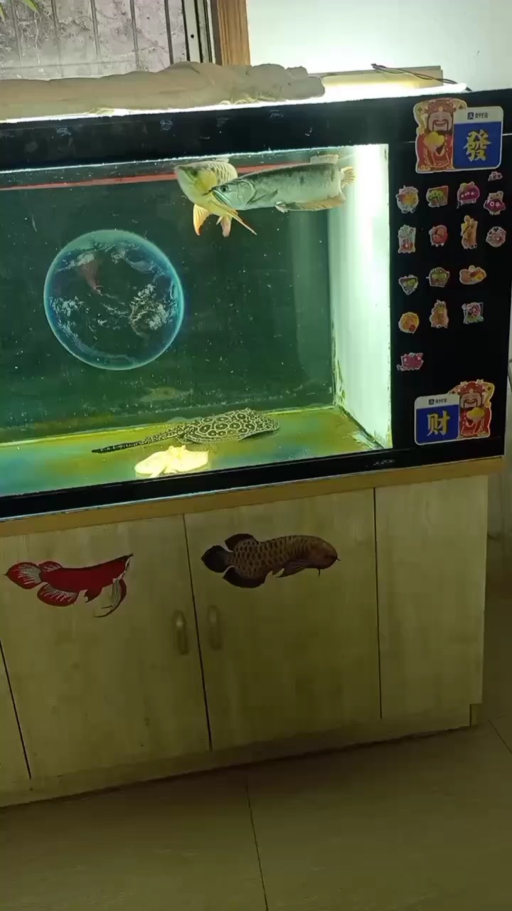 繃的筆直，氣勢逼人