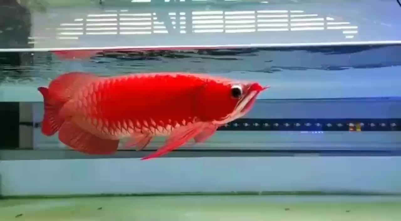 哈哈哈哈