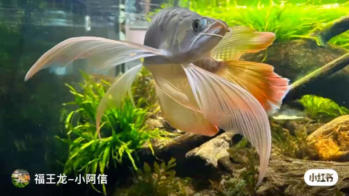 108萬