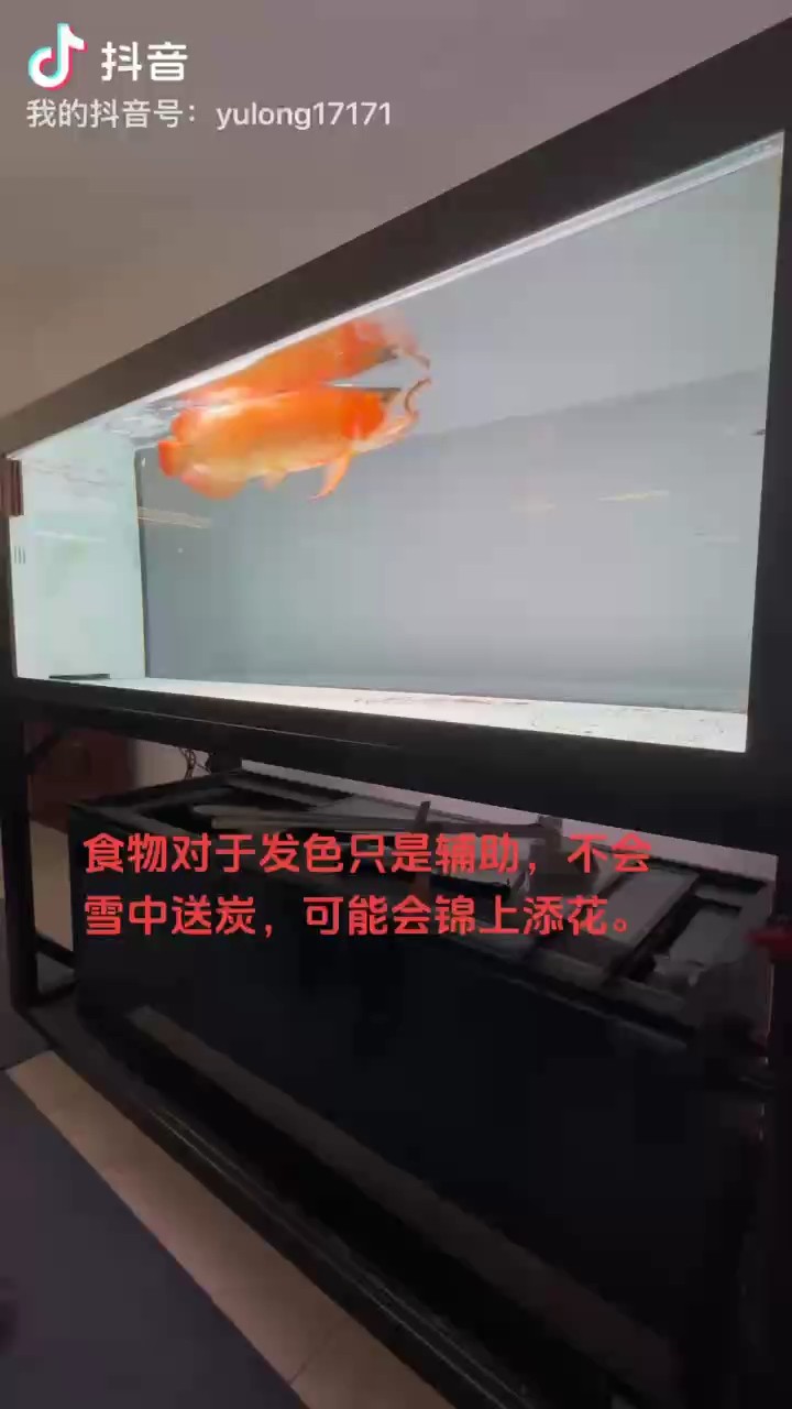 18Cm的蜈蚣伺候。