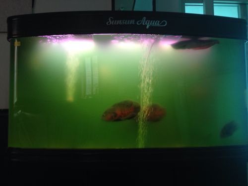 海口龍華丕生水族館（海口龍華丕生水族館電話）
