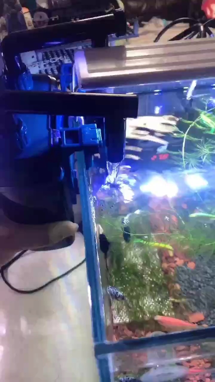 又要修了