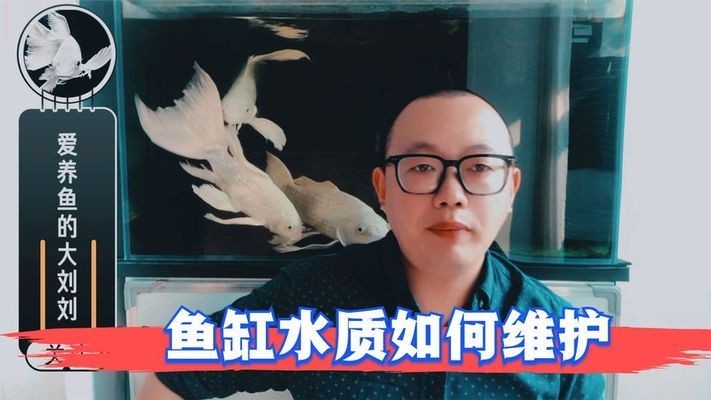 森森魚缸廠家電話多少（森森魚缸廠家聯系電話）