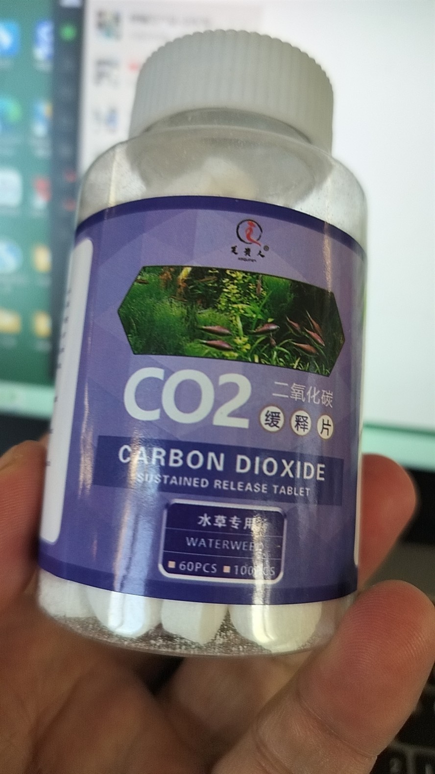水草必備