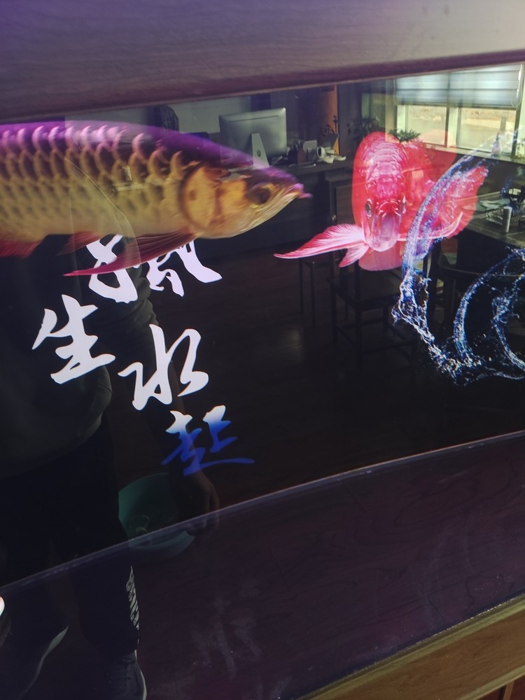 新手養魚 求大神幫忙指點