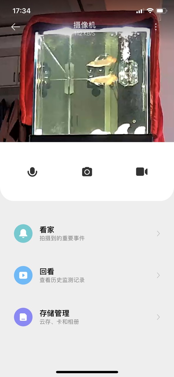監控看看龍