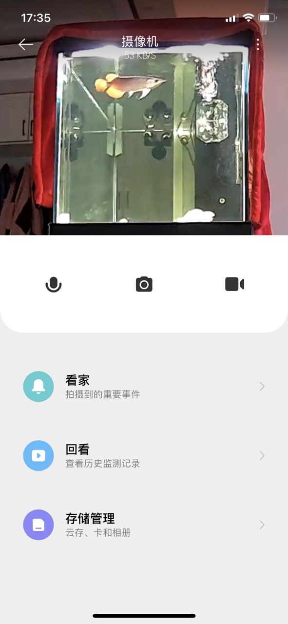 監控看看龍