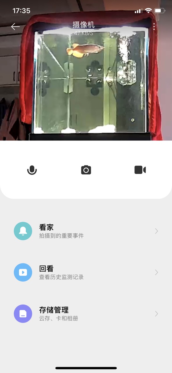 監控看看龍