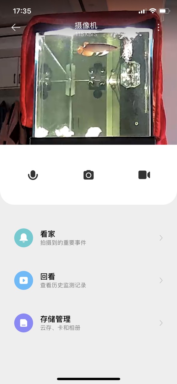 監控看看龍