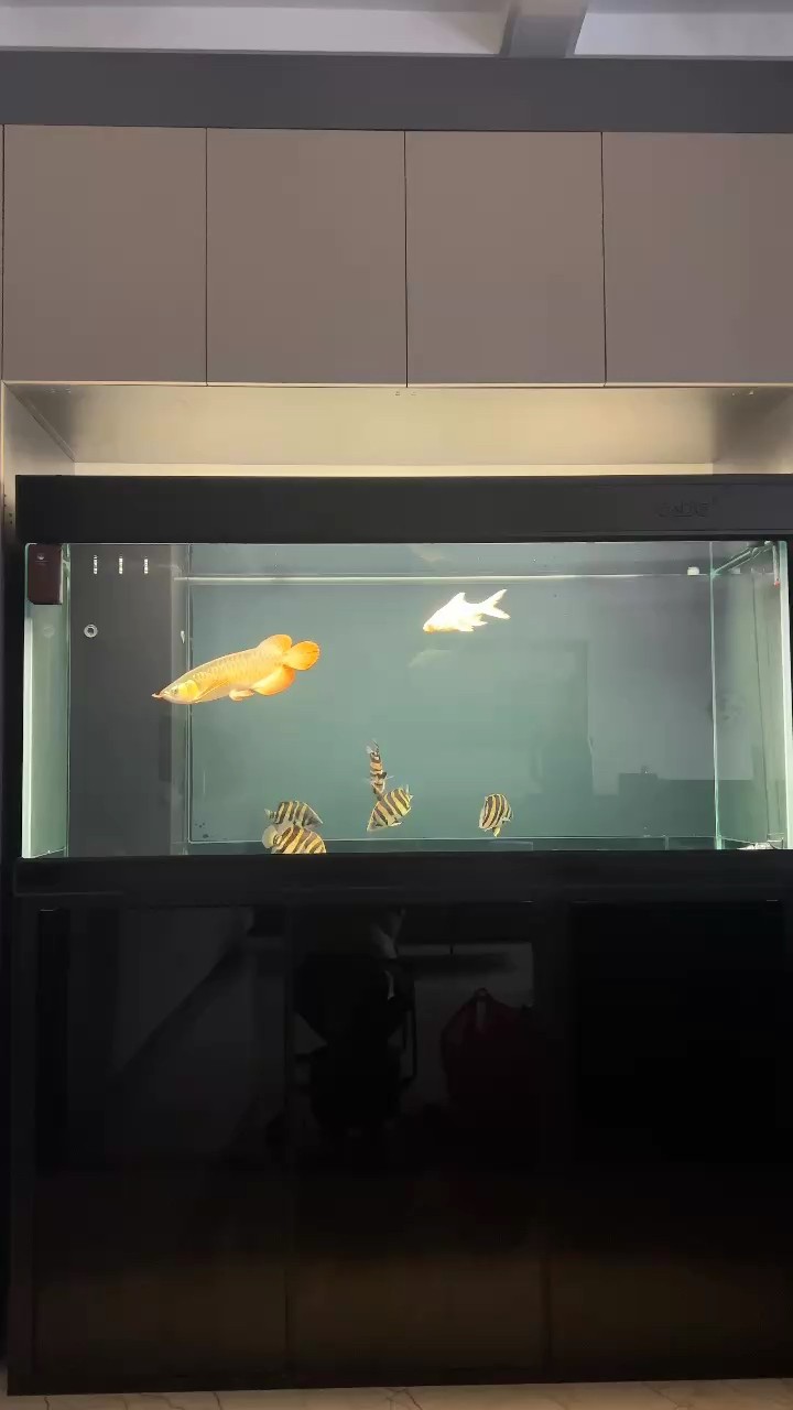 到家一個半月 好像沒什么變化