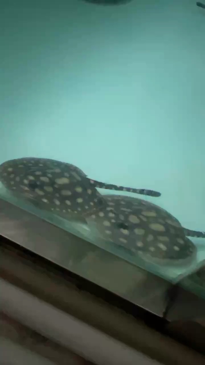 喜悅