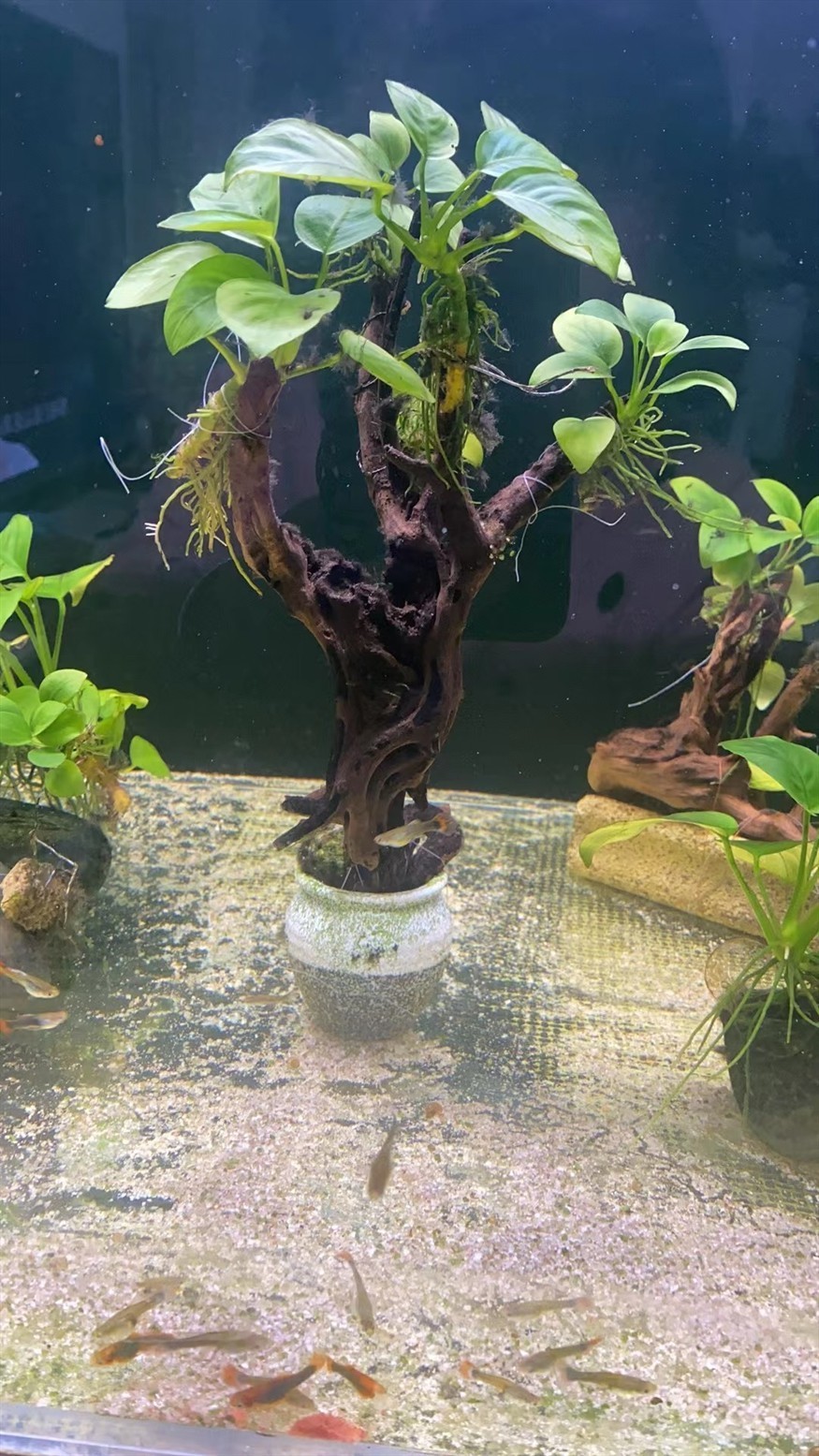 總感覺缺點啥