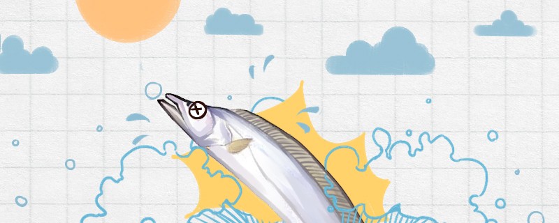 帶魚出水有不死的嗎為什么沒(méi)有魚鱗