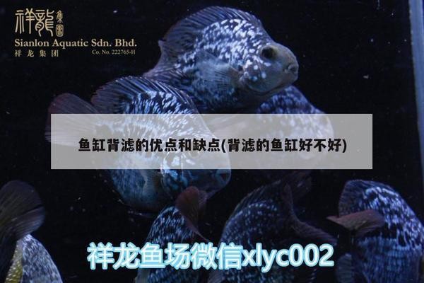 運城經(jīng)濟開發(fā)區(qū)海景水族居然之家經(jīng)銷店（運城居然之家詳細地址） 運城經(jīng)濟開發(fā)區(qū)海景水族居然之家經(jīng)銷店（運城居然之家詳細地址） 全國水族館企業(yè)名錄 第1張