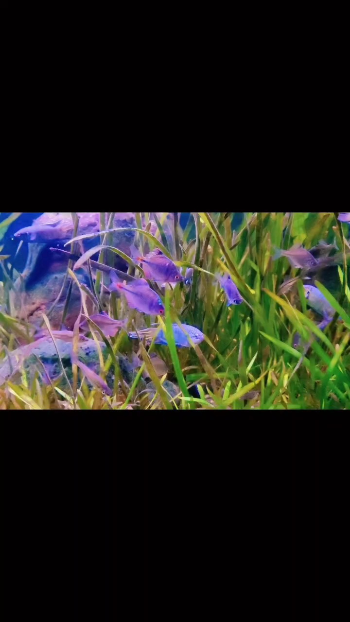 隨手一拍