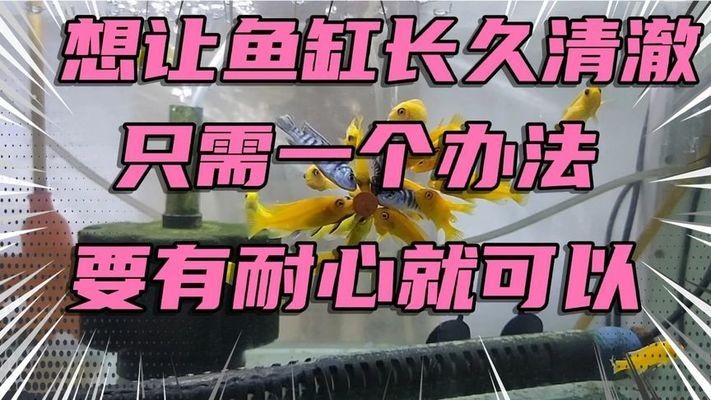 森森ade燈和adp（森森led燈adp和ade區別）
