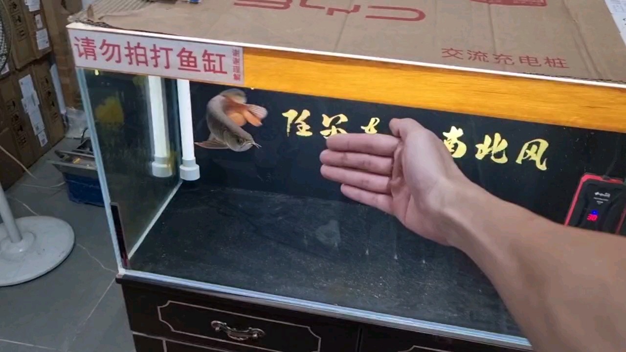 一路多艱難……