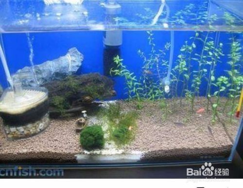 昆明市官渡區魚源水族店（昆明市官渡區魚源水族店地址）
