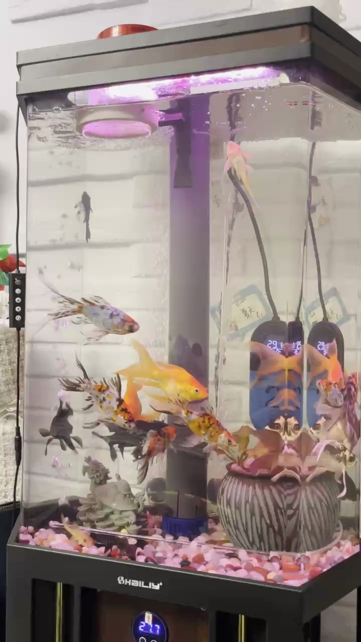 關于密度，大佬些給點意見唄 關于密度，大佬些給點意見唄 龍魚論壇