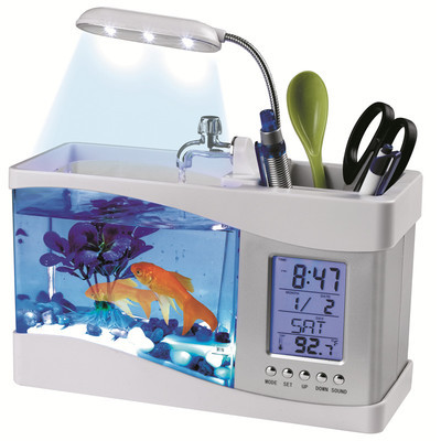 祥龍魚場其他產品（祥龍魚場其他產品有哪些）