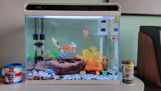 森森h2g（森森h2g魚缸怎么樣）