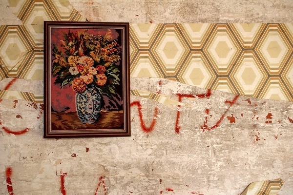 陽高縣領(lǐng)航水族館（陽高縣領(lǐng)航水族館電話）