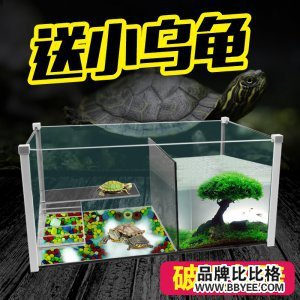 東河區碧海灣水族館（東河區碧海灣水族館電話）