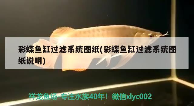 淮北市相山區安喉爬爬水族館（淮北市相山區安喉爬爬水族館電話號碼）