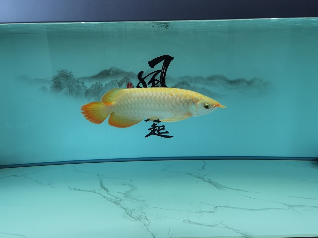 感覺(jué)挺美[ciya]