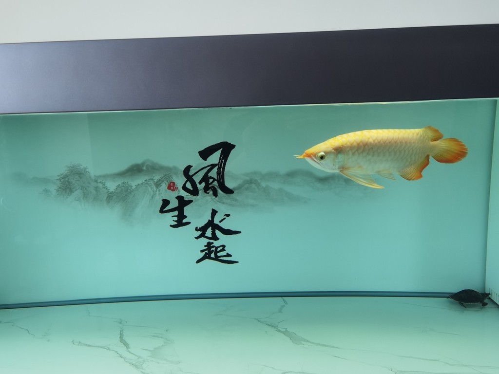 感覺(jué)挺美[ciya]