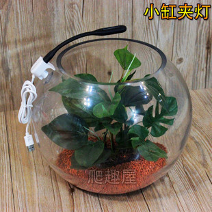貴陽市烏當區(qū)華宇水族館（貴陽市烏當區(qū)華宇水族館電話）