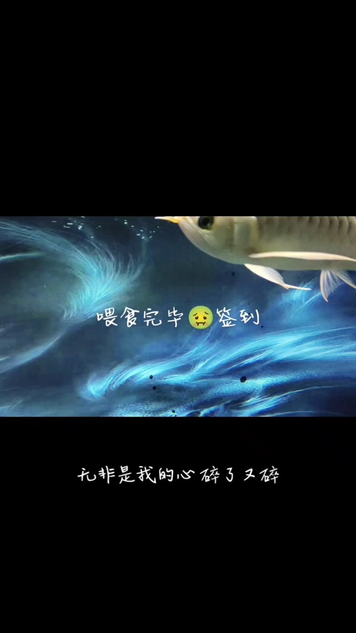 我喜歡的體型！