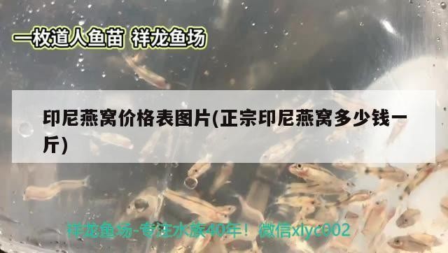 吉林市昌邑區龍族水族行（吉林市昌邑區龍族水族行政村）