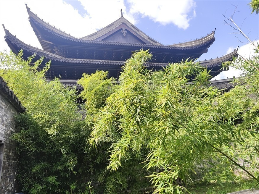 綠茵深處