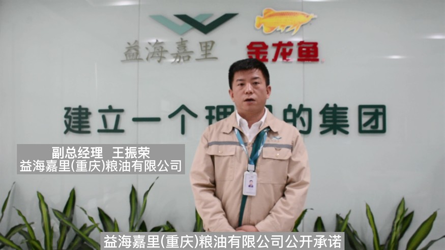 品牌金龍魚vx祥龍魚場(chǎng)（祥龍金龍魚怎么樣）
