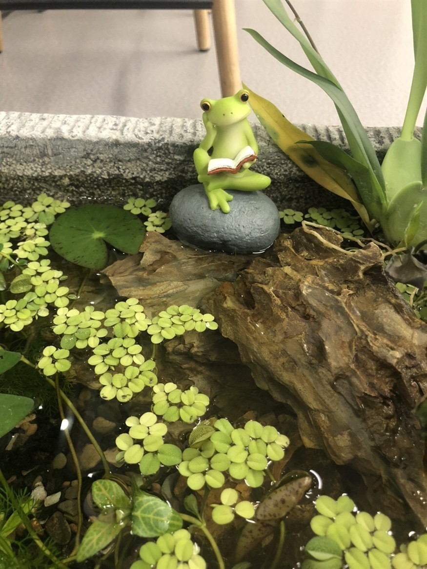 生態缸